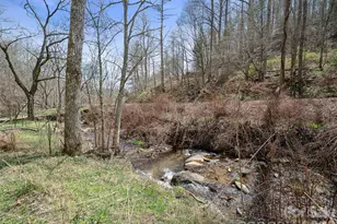 00 Elk Shoals Creek Rd, Burnsville, NC 28714 - Photo 24