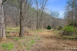 00 Elk Shoals Creek Rd, Burnsville, NC 28714 - Photo 1