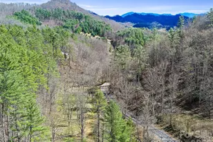 00 Elk Shoals Creek Rd, Burnsville, NC 28714 - Photo 12