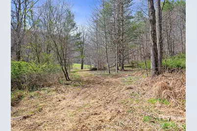 00 Elk Shoals Creek Road, Burnsville, NC 28714 - Photo 16