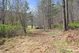 00 Elk Shoals Creek Rd, Burnsville, NC 28714 - Photo 16