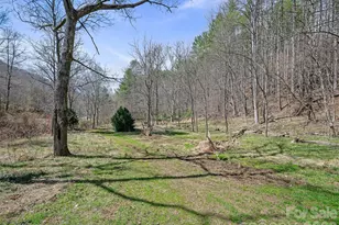 00 Elk Shoals Creek Rd, Burnsville, NC 28714 - Photo 20