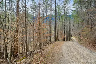 00 Elk Shoals Creek Rd, Burnsville, NC 28714 - Photo 30