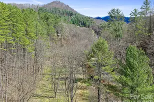 00 Elk Shoals Creek Rd, Burnsville, NC 28714 - Photo 14