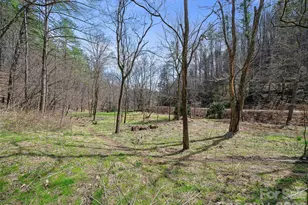 00 Elk Shoals Creek Rd, Burnsville, NC 28714 - Photo 22