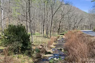 00 Elk Shoals Creek Rd, Burnsville, NC 28714 - Photo 8