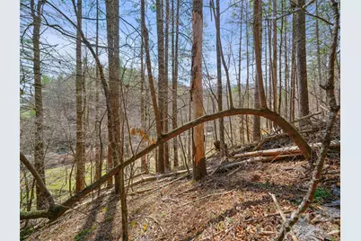 00 Elk Shoals Creek Road, Burnsville, NC 28714 - Photo 32