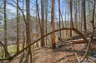 00 Elk Shoals Creek Rd, Burnsville, NC 28714 - Photo 32