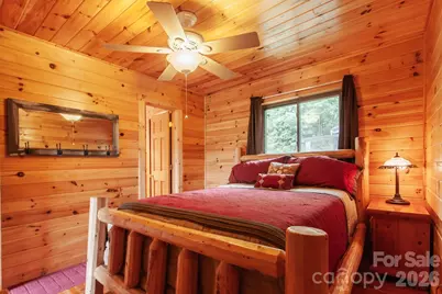 307 Blue Ridge Parkway, Bryson City, NC 28713 - Photo 42