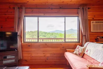 307 Blue Ridge Parkway, Bryson City, NC 28713 - Photo 32