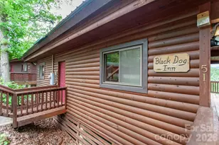 307 Blue Ridge Pkwy, Bryson City, NC 28713 - Photo 16