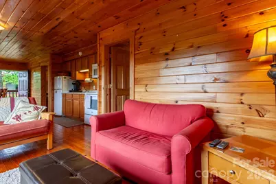 307 Blue Ridge Parkway, Bryson City, NC 28713 - Photo 34