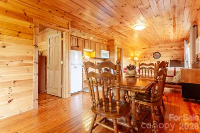 307 Blue Ridge Parkway, Bryson City, NC 28713 - Photo 26