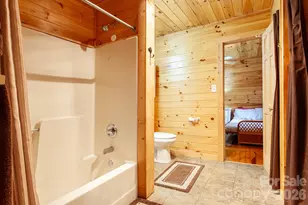 307 Blue Ridge Pkwy, Bryson City, NC 28713 - Photo 38