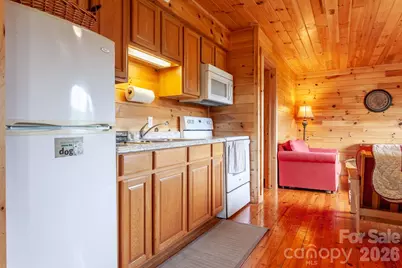 307 Blue Ridge Parkway, Bryson City, NC 28713 - Photo 30