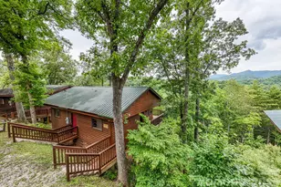 307 Blue Ridge Pkwy, Bryson City, NC 28713 - Photo 14