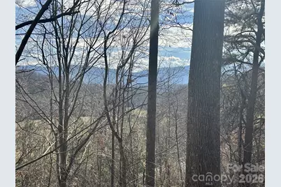 00 Queen Cove Road, Waynesville, NC 28785 - Photo 4