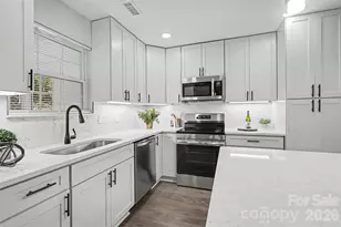 7138 Rena Mae Ln, Charlotte, NC 28227 - Photo 10