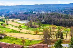 115 Bent Tree Dr, Hendersonville, NC 28739 - Photo 42