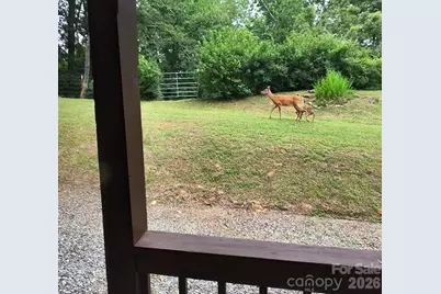 415 Treetop Lane, Waynesville, NC 28785 - Photo 4