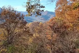 415 Treetop Ln, Waynesville, NC 28785 - Photo 40