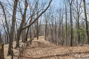 415 Treetop Ln, Waynesville, NC 28785 - Photo 38