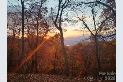 415 Treetop Lane, Waynesville, NC 28785 - Photo 36