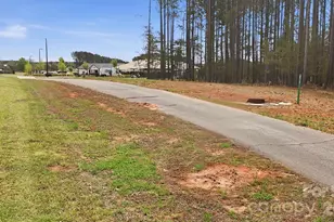 30132 Turtle Point Ct, Lancaster, SC 29720 - Photo 40