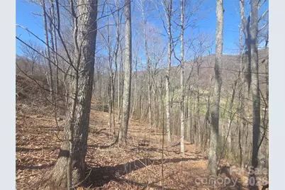 820 Chestnut Flats Lane #4, Waynesville, NC 28786 - Photo 18