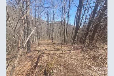 820 Chestnut Flats Lane #4, Waynesville, NC 28786 - Photo 8