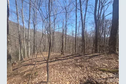 820 Chestnut Flats Lane #4, Waynesville, NC 28786 - Photo 6