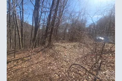 820 Chestnut Flats Lane #4, Waynesville, NC 28786 - Photo 4