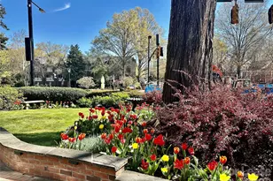 229 N Poplar St, Charlotte, NC 28202 - Photo 20