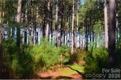 00 Bobby Faucette Road #2, Jonesville, SC 29353 - Photo 8