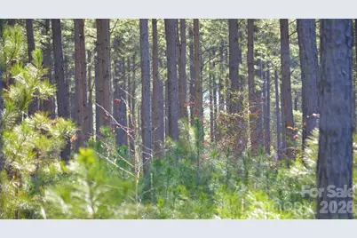 00 Bobby Faucette Road #2, Jonesville, SC 29353 - Photo 10