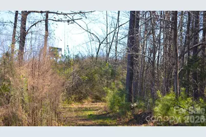 00 Bobby Faucette Road #3, Jonesville, SC 29353 - Photo 10