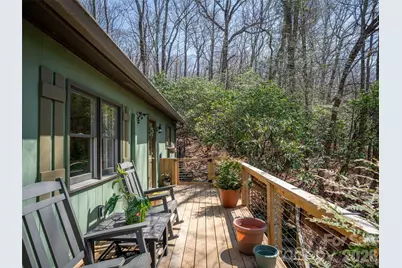 31 Elseetos Drive, Brevard, NC 28712 - Photo 28