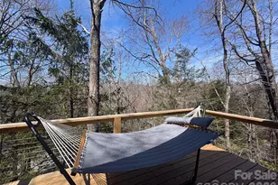 31 Elseetos Dr, Brevard, NC 28712 - Photo 22