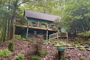 31 Elseetos Dr, Brevard, NC 28712 - Photo 1