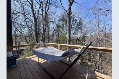 31 Elseetos Drive, Brevard, NC 28712 - Photo 24