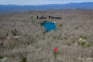 31 Elseetos Dr, Brevard, NC 28712 - Photo 34