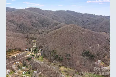 99999 Oak Ridge Road, Swannanoa, NC 28778 - Photo 20