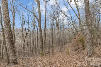 99999 Oak Ridge Road, Swannanoa, NC 28778 - Photo 12