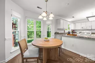 8607 Piccone Brook Ln, Charlotte, NC 28216 - Photo 16