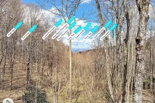 1664 Tawodi Trail, Maggie Valley, NC 28751 - Photo 4