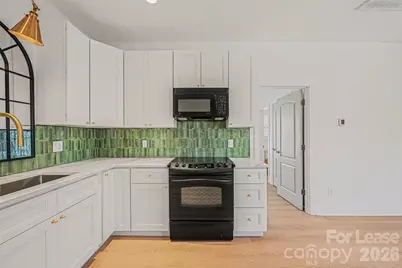 140 Harper Lee Street, Davidson, NC 28036 - Photo 6