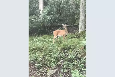 00 Winterstar Loop #17, Burnsville, NC 28714 - Photo 8