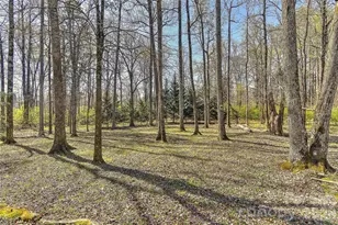 9225 White Aspen Pl, Charlotte, NC 28269 - Photo 42