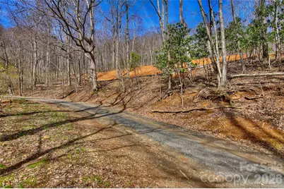 000 Poplar Trail, Spruce Pine, NC 28777 - Photo 4