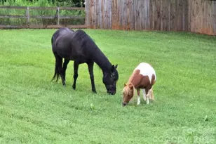 13131 McCord Rd, Huntersville, NC 28078 - Photo 34